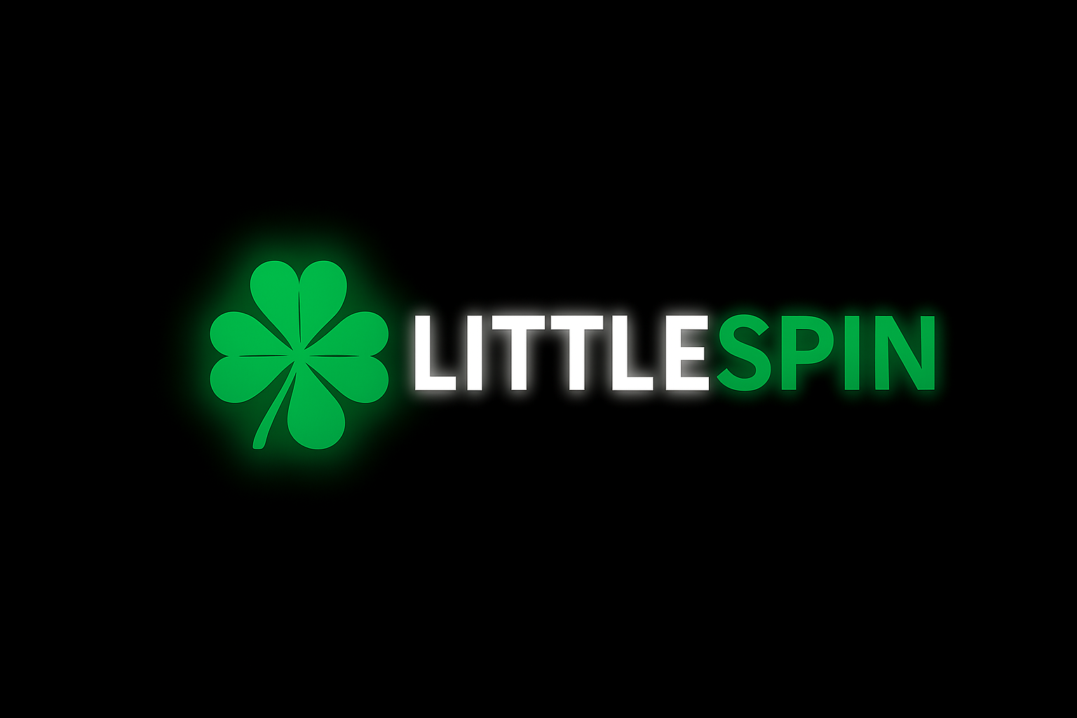LittleSpin Logo